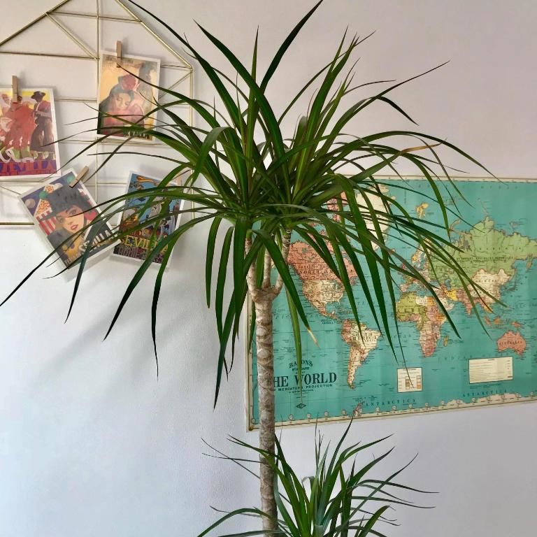 Апарт-отели Camino Home 2 Клуж-Напока-58